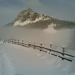 бутиков 